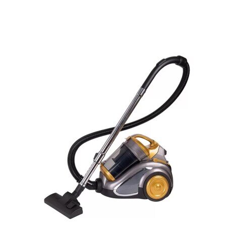 Aspirator fara sac Hausberg HB-2820AU, 2200 W, 4.5 L, Gri/Auriu